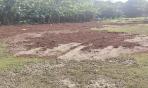 Screenshot_2025-12-06-19-31-19-573-edit_com.intsig.camscanner