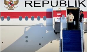 Screenshot_2026-01-25-10-19-18-777-edit_com.android.chrome