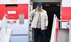 Screenshot_2026-02-17-13-17-24-733-edit_com.android.chrome