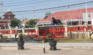 IMG-20260807-WA0011(1)