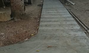 IMG-20261012-WA0001